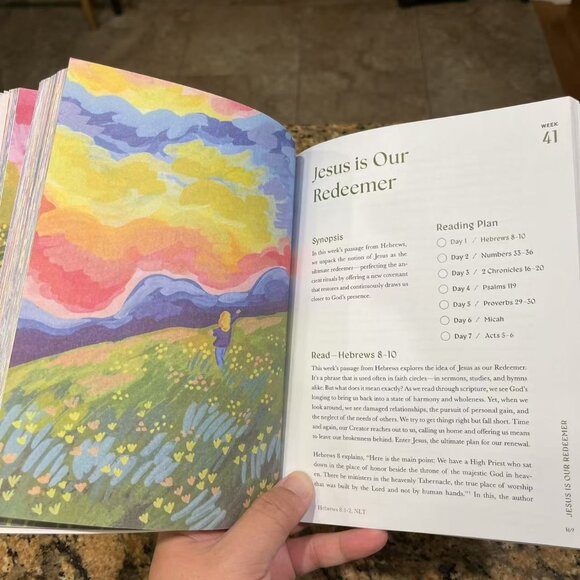 A Beautiful Year in the Bible: The 52-Week Bible Study for Women - Picture 6 of 6